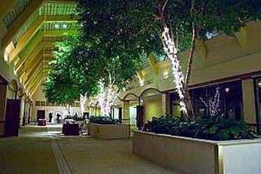 Mockingbird Hotel Dallas Exterior photo
